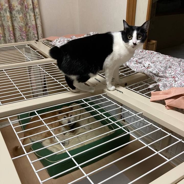 3c957221 36f9 4a9d b440 3f5f20b6ec4f 1607407898448