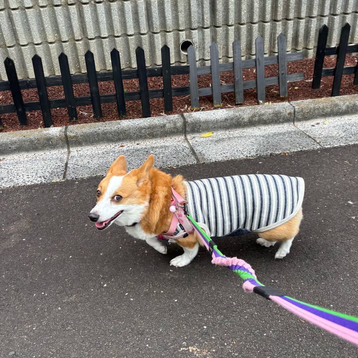 3c957938 0d58 4ab9 9d76 83e3a4a79b29 1762314544545