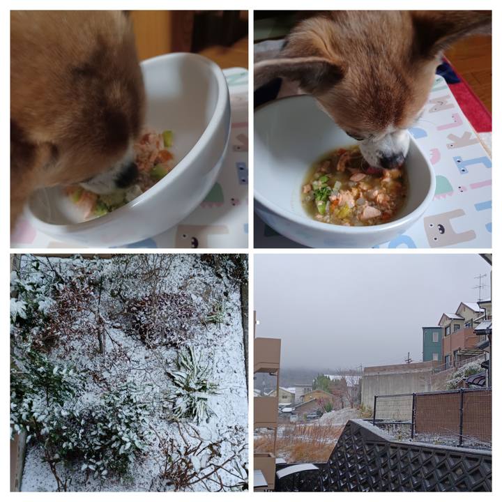 3c95c14d 2596 413e 8272 c1923104603e 1770502699300