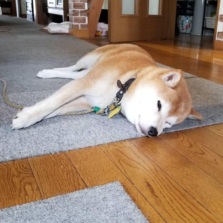 3c960e5d 01c5 410a 91b5 171ac5ae2380 1624593021092