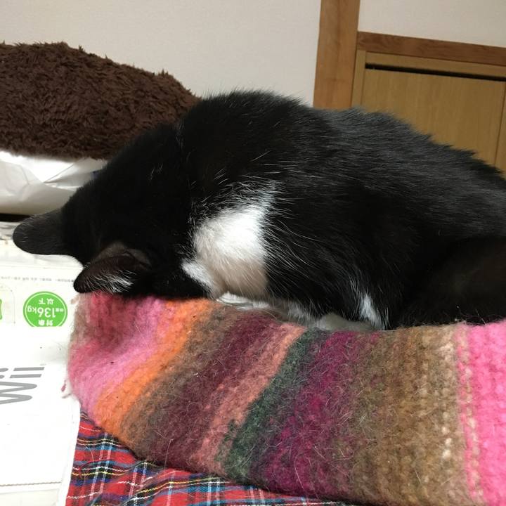 3c96237e 2369 44ef a03c e538d1f97e60 1509279883350