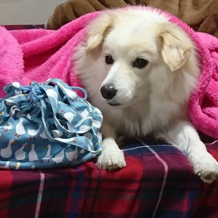 3c9635a9 b5e2 4a3e a42d 4a672e84e9ab 1512423517349