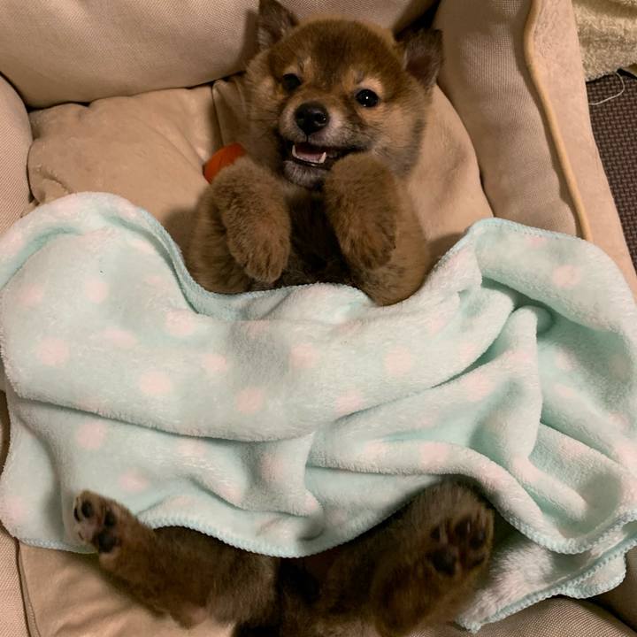 3c964e85 7d45 455b 8f18 31e06ab7b9d4 1616076974663