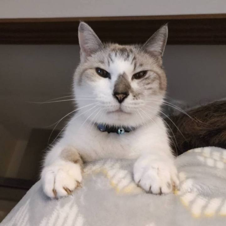 3c969568 529e 44ee a748 8433dd76b3de 1669102137652