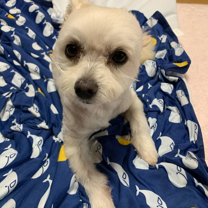 3c96d399 1eb9 4f76 a1b1 3223f6525359 1591093956119