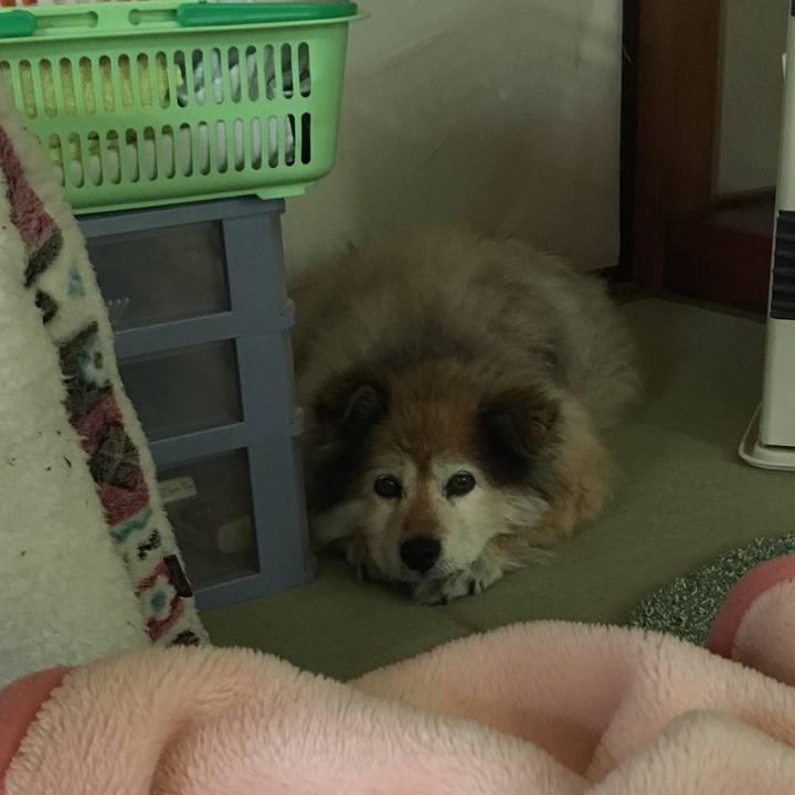 3c979419 c6ce 4712 a281 f08cc5c8147f 1661310195327