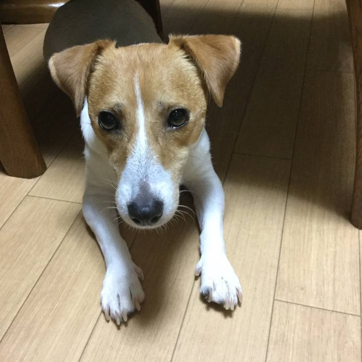 3c979a9a d610 485e aabb c78b785cb483 1534065678059