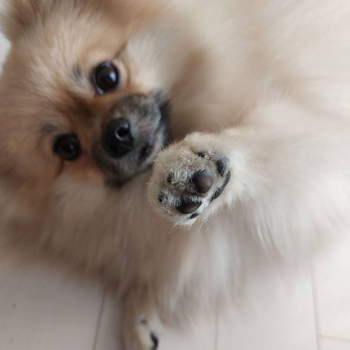 3c97d213 dac1 4fd5 b96e ad8a512244e2 1642557091341