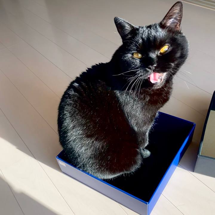 3c97f61a 44f9 4ccb a15e 08e20846232a 1643263110258