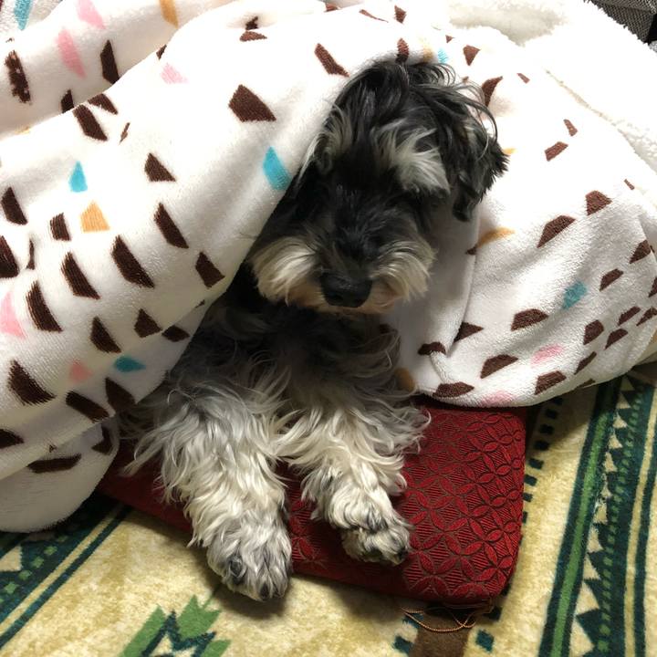 3c9803cc 0a6b 456d b38e c0f6b039d8c3 1646224603959