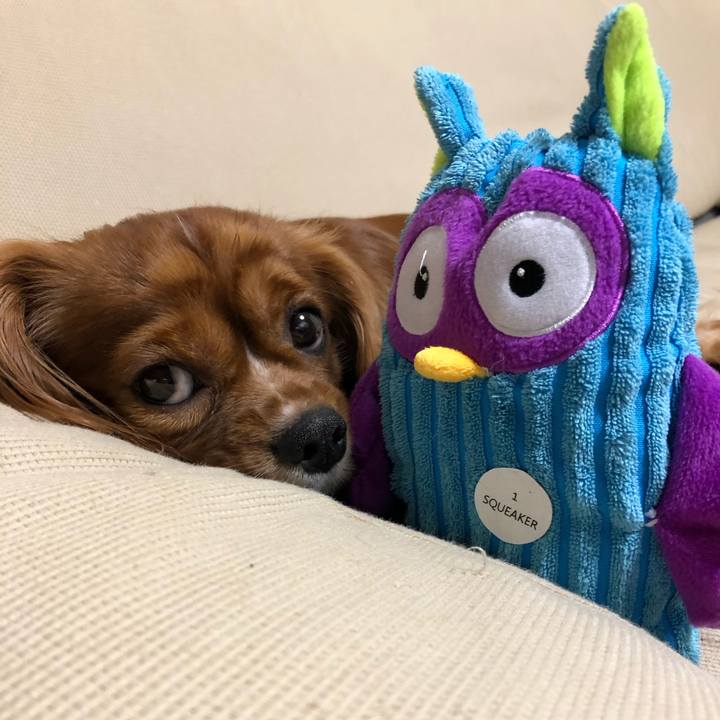 3c981c37 6b3c 4535 b1ff c3681df53b2f 1569506507557