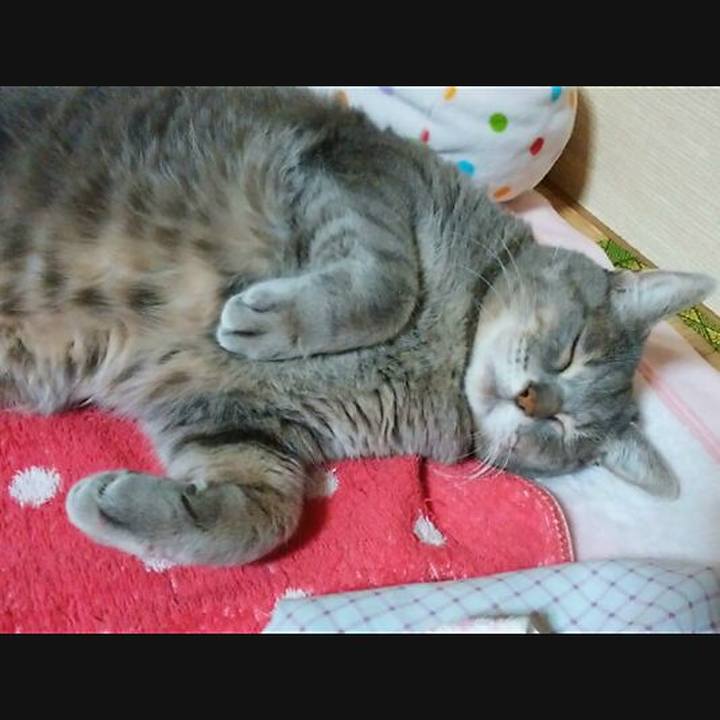 3c981dc4 cef5 401a 8e4a 1e3c0915580a 1576511313185