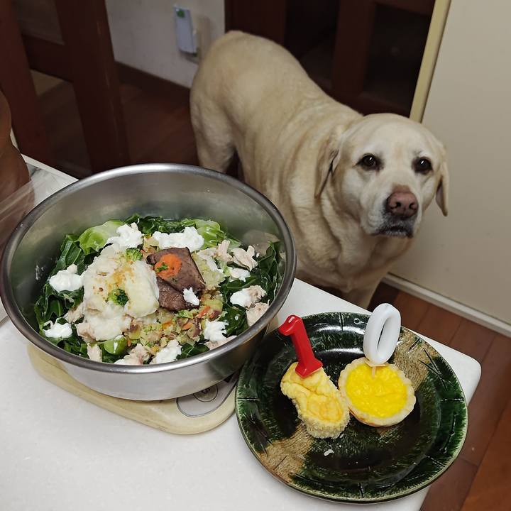 3c983f52 ff05 49b1 9d1e 358fb2e81583 1771668523960