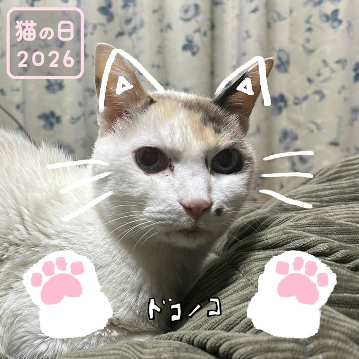 3c985d09 c02b 4945 a9ca 8a850dd0a2fe 1771756787198