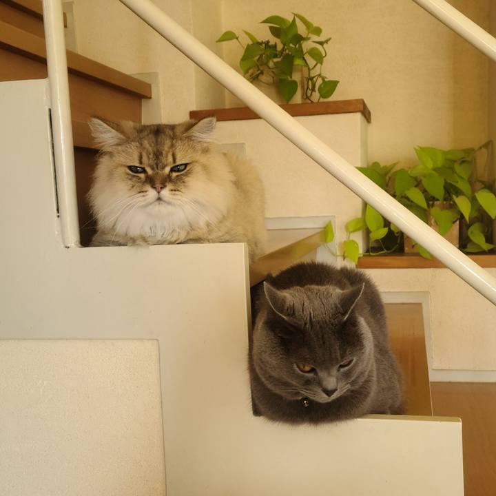 3c985da5 c6ad 4ddd 8733 441b33102b2b 1664505497012