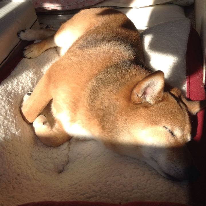 3c9862d9 7e81 4126 8a04 68266f238e57 1520315279418