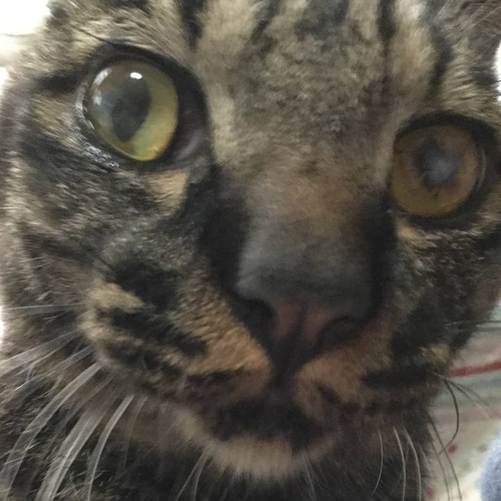 3c986d66 dcbf 4436 b46e 420ee2c2d239 1603096081039