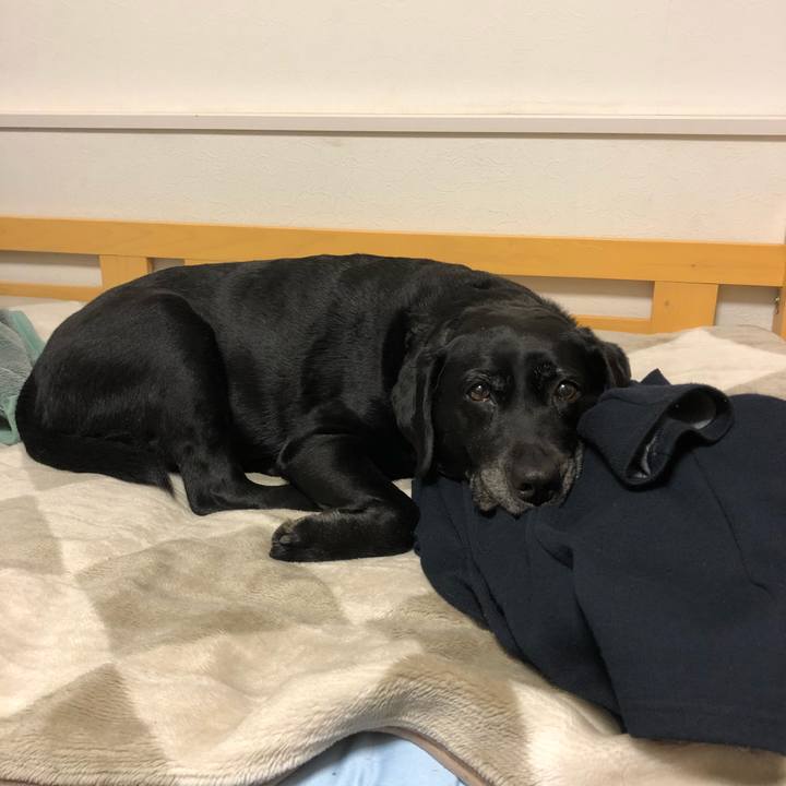 3c987350 16d6 40fa b398 51fe5bac3d81 1551098273755