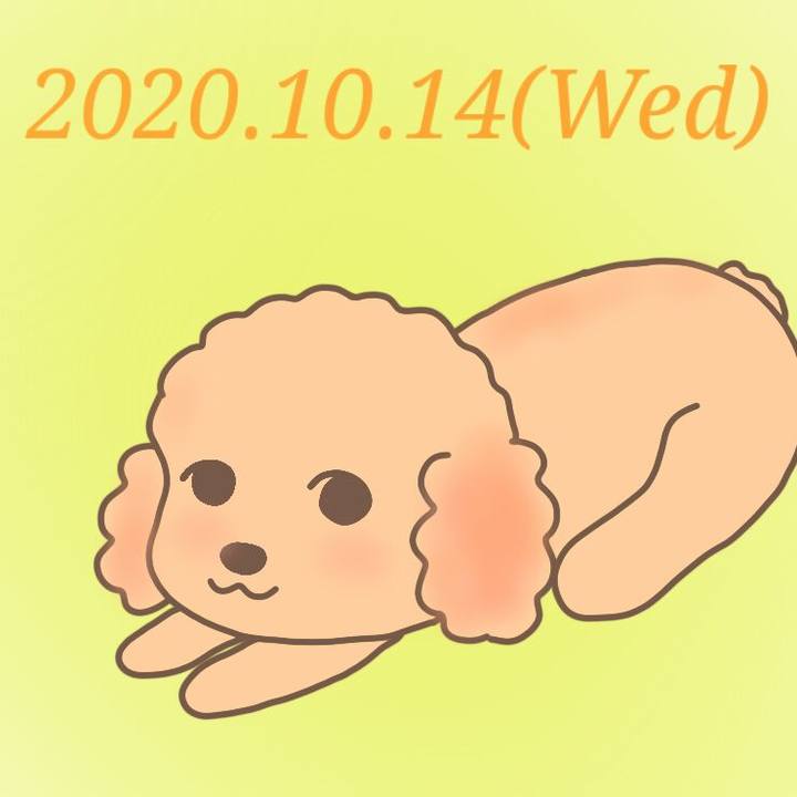 3c98a0a3 f07a 4ce3 87f4 523d54f1ffde 1602677820589