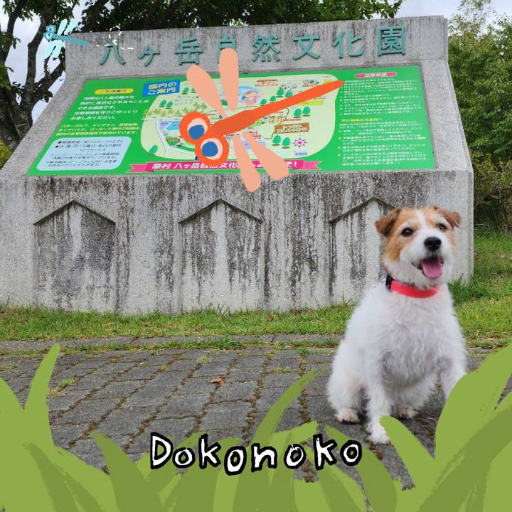 3c991f87 3e06 40ce 8a36 d3269cc5a5a4 1726897977861