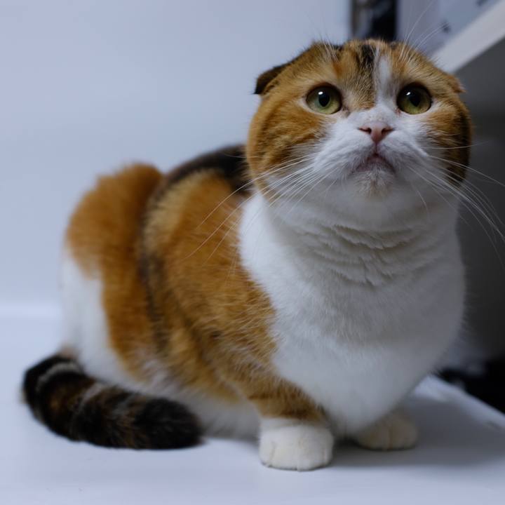 3c9929e7 5560 477a 8b67 624baedbae28 1539518898446