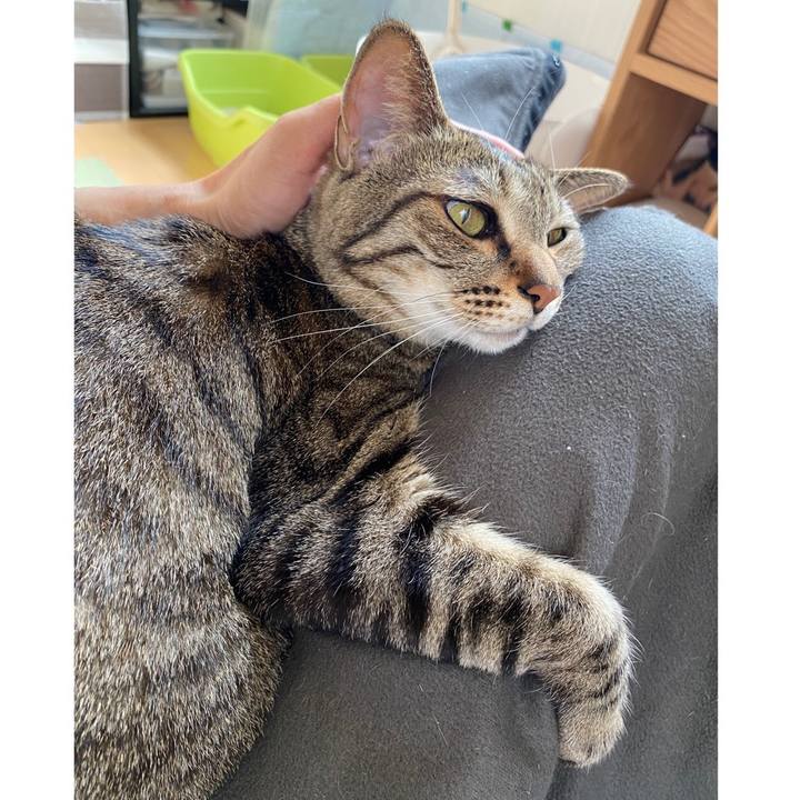 3c995850 738b 4166 a7e5 da252e6fb795 1689539870747