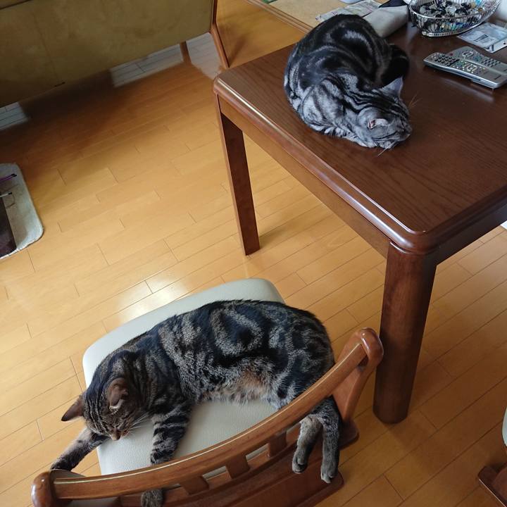 3c9971ff 96d2 401b be3a 98ba8c6b288d 1566612760647