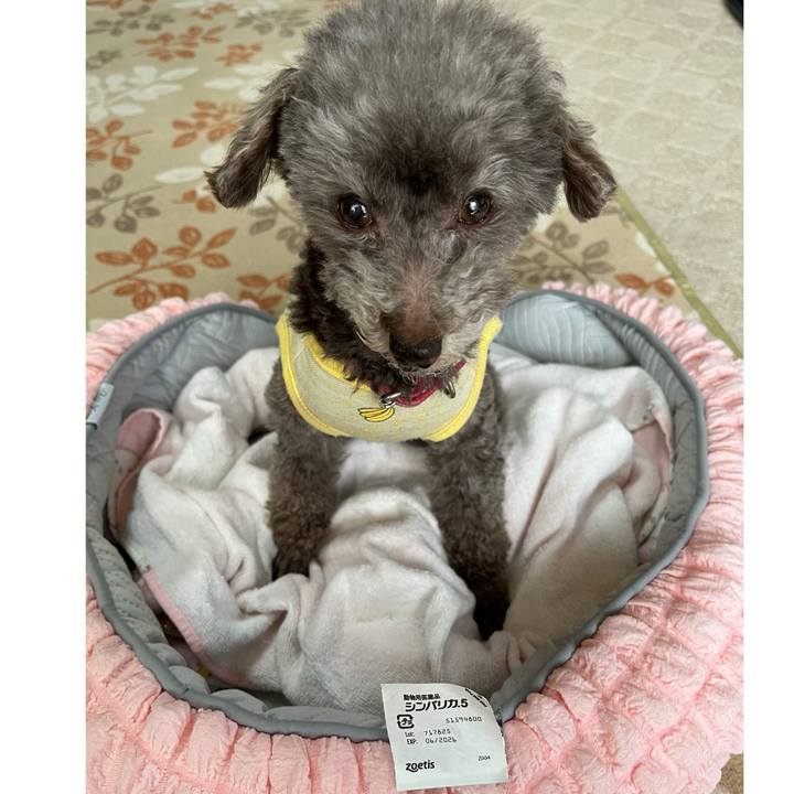 3c9977d2 4e95 45a6 bb34 022b21d62b5a 1746161836675