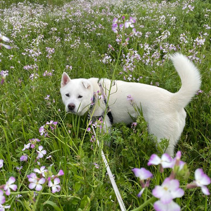 3c998913 8075 4b1a 9e3d 4f965e99c4ed 1744414182241