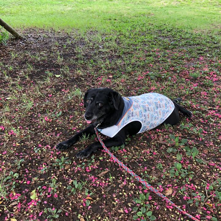 3c998e37 6ca7 4ce1 885d d8c0b9b56a4f 1599460098724