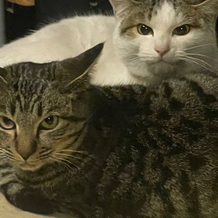 3c999c0b 2aa7 4832 b677 46e602b0b7d6 1644246867952