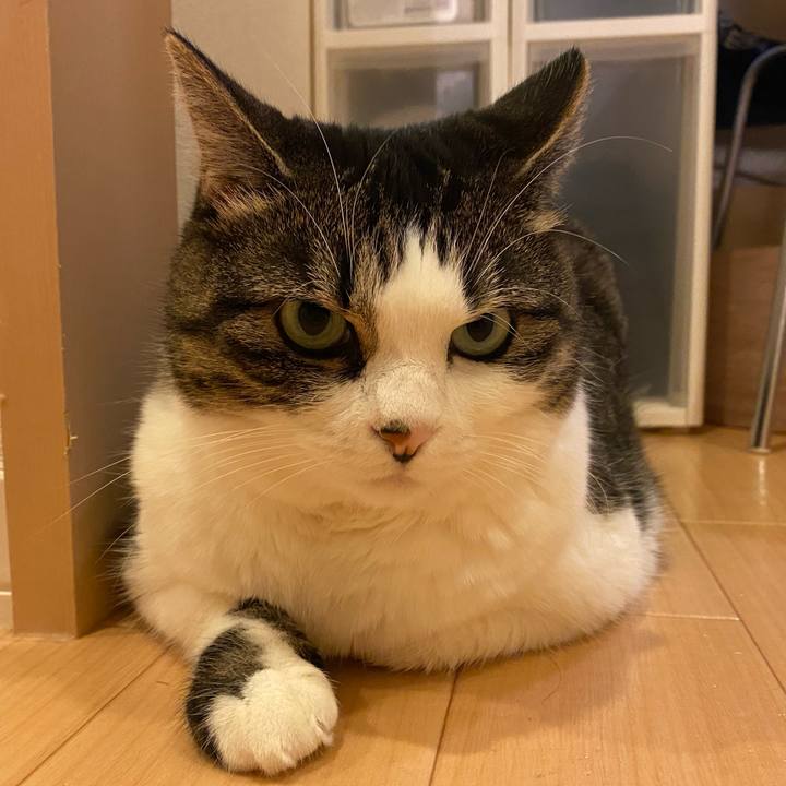 3c99c7be da39 4958 b081 42483e234453 1662945170066