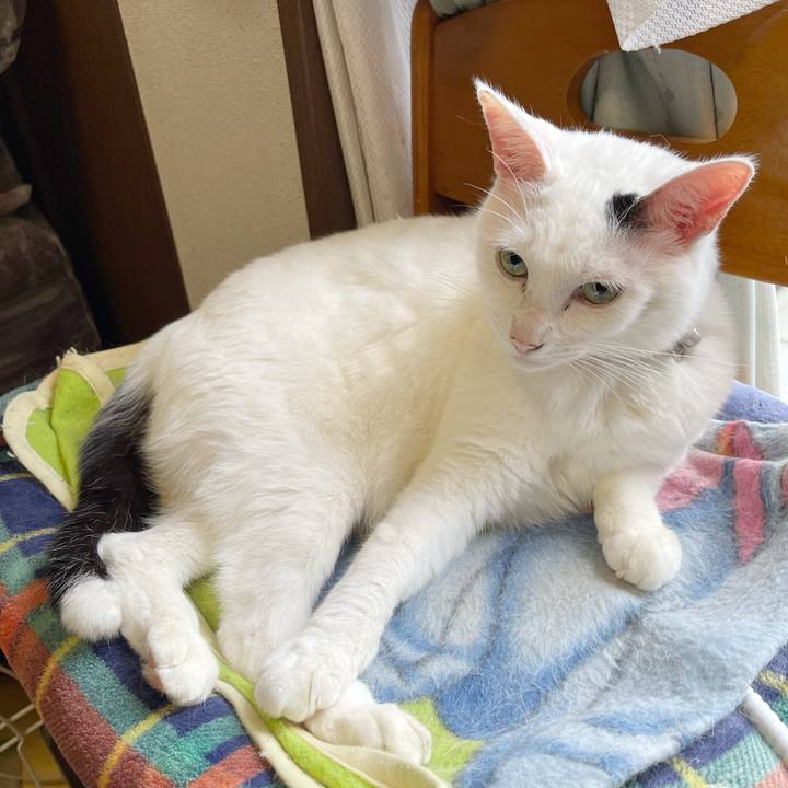 3c99d6c8 0e5c 4c17 8815 142b8dbae6d3 1765234166102