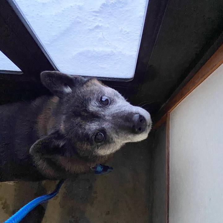 3c9a23cf 3958 41d6 bd30 37416beea27d 1674599722511