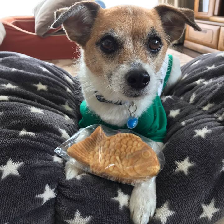 3c9a3705 a8e3 43c1 aa8a 75fadada093c 1557468069625