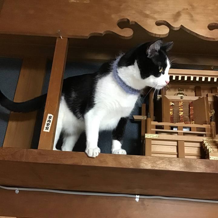 3c9a7b03 b1e3 4bf4 b086 cdea9a2b3223 1668085914364