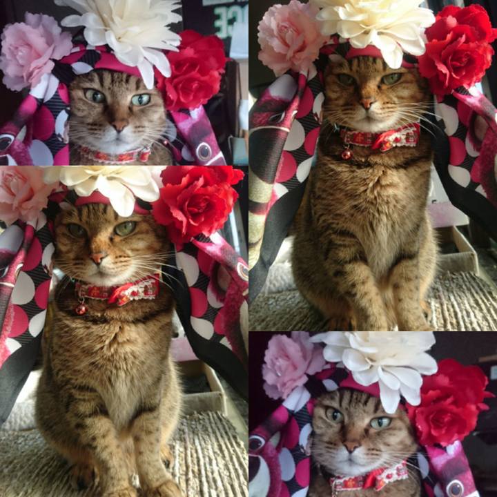 3c9a9064 ff7c 4471 9216 760243ea8641 1768087119324