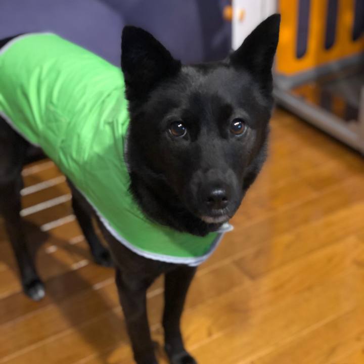 3c9a9858 9b93 4fab a442 dead2df65a13 1552953816634