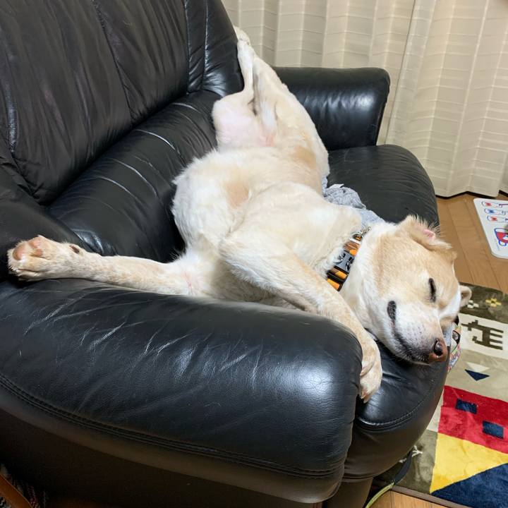 3c9aa4cb b1b8 4db6 8e0e 2c7d5ac00409 1580137195614