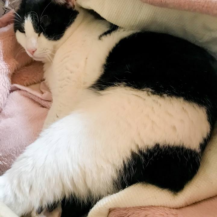 3c9ab67b a8cd 434c af6f 261cfaed5542 1517011958177