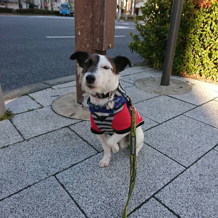 3c9ab92e 015a 4a4c 8cd0 3c3fe5183b40 1520805539435