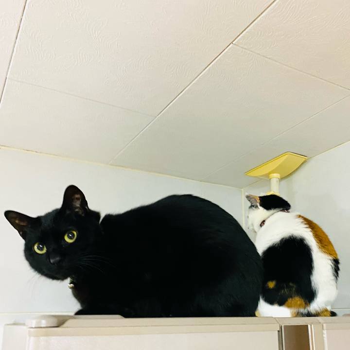 3c9ac8cf 9891 44b5 b81b f40be053358b 1674684472581