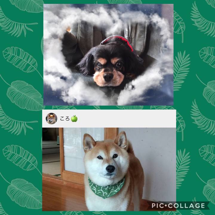 3c9ad86a 8c93 47a1 b247 bbbd53a36822 1530458378236