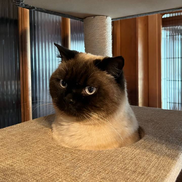 3c9aeaee 1d00 4b11 9f31 a47f271bd1f6 1645418809264