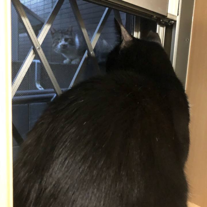 3c9b1a4e 5ba5 47af 87fb b097fb264223 1589715421403