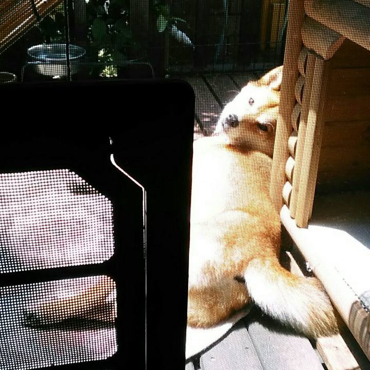 3c9b3552 00b3 47d8 b007 7f8519eaef71 1529906751734