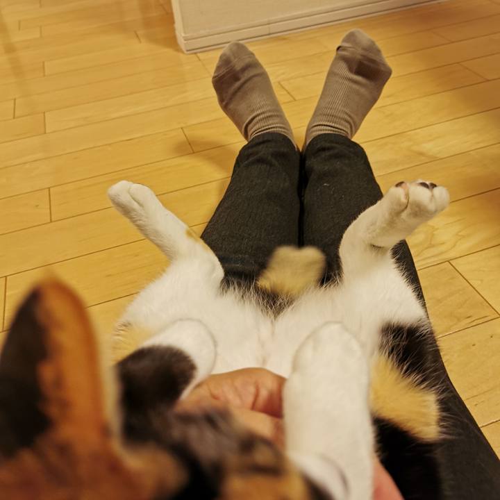 3c9b57bf 85ad 44ab aa8b b2f4118e2f82 1670470340145