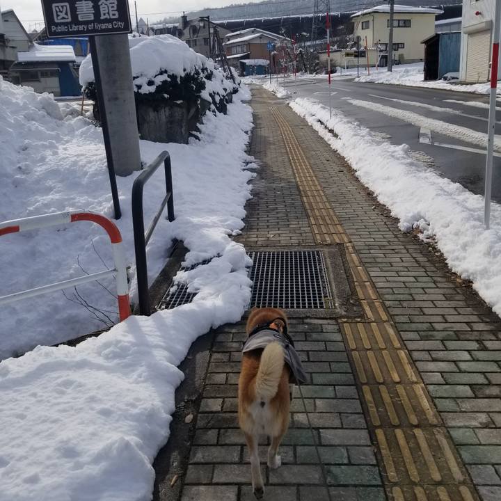 3c9b69cd 9b21 45d1 b147 6851bc32464d 1734756639291