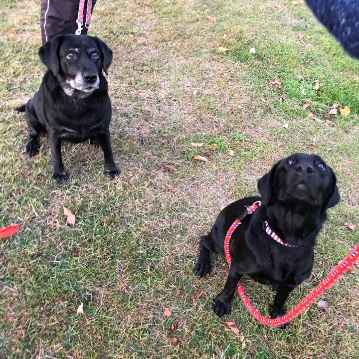 3c9ba7e9 590e 4db7 a5d6 9492a611f124 1605445116900