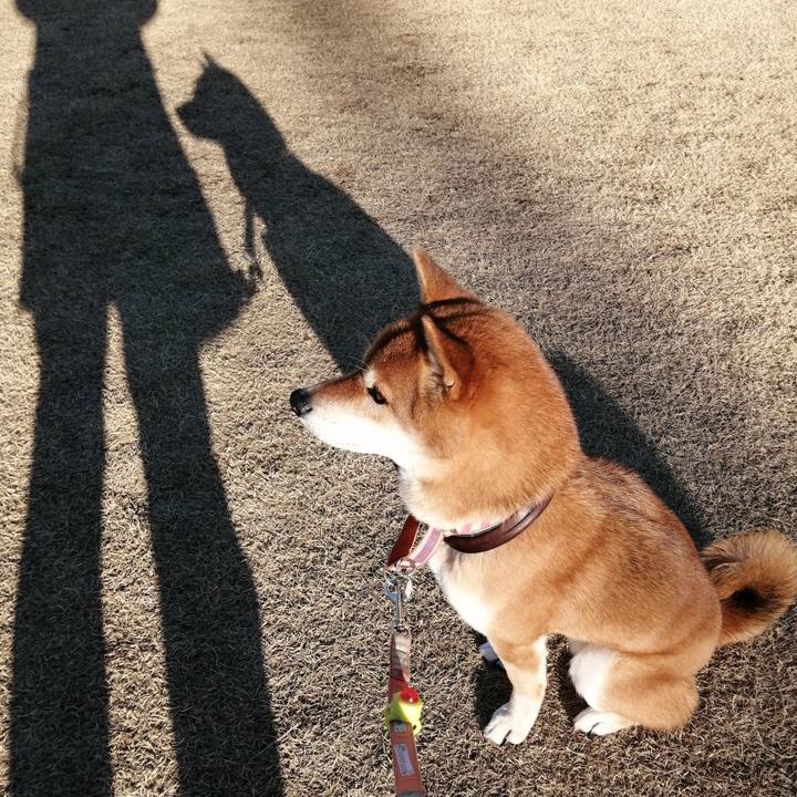 3c9bad03 0e1a 4a7c 9b4b 6a708d4ebb94 1580973723100